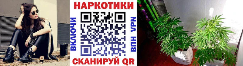 Как найти наркотики Новомичуринск Каннабис  COCAIN  АМФЕТАМИН  МЕТАДОН  Меф 