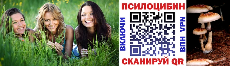 Псилоцибиновые грибы GOLDEN TEACHER Новомичуринск