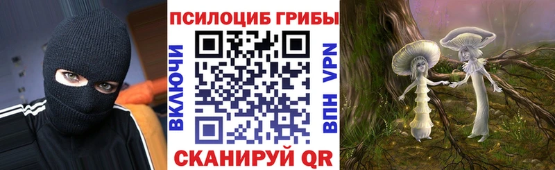 Псилоцибиновые грибы GOLDEN TEACHER Новомичуринск